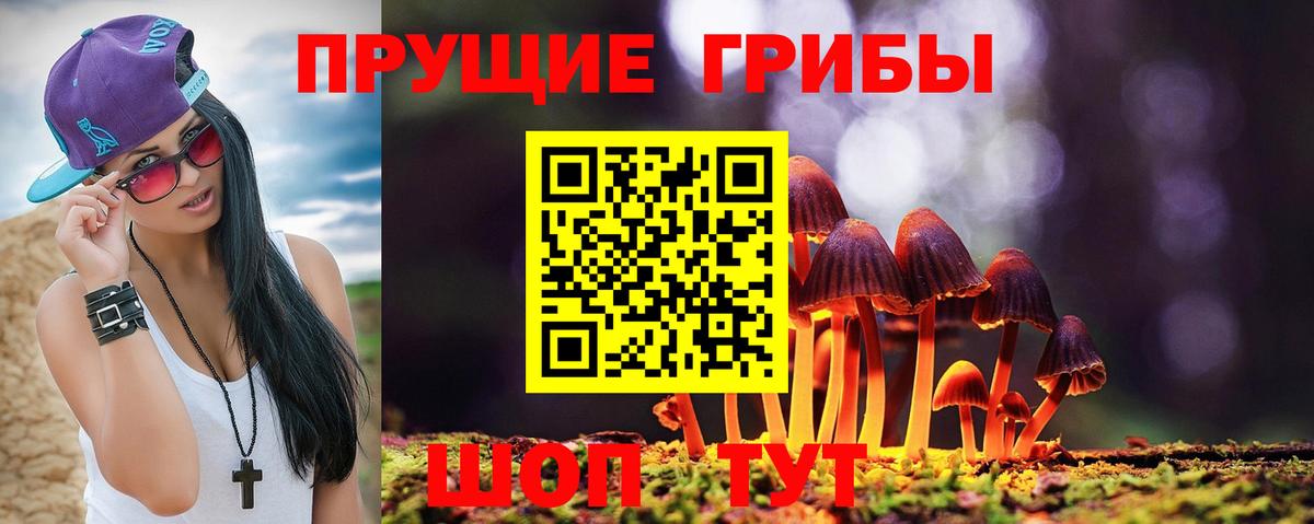 купить наркоту  Псилоцибиновые грибы прущие грибы  Вход с VPN  Краснознаменск 